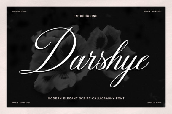 Darshye Font for Elegant Web Design