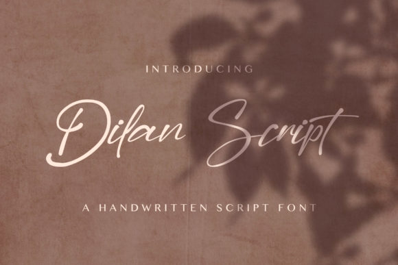 Dilan Script Font for Modern Web Design