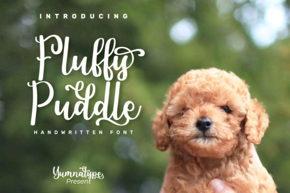 Fluffy Puddle: A Balanced Handwritten Font for Web Design