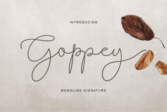 Goppey Font Review for Modern Branding