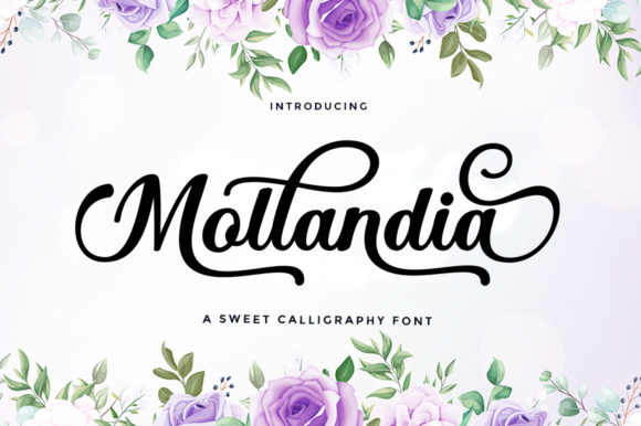 Mollandia Font: Elevate Your Brand Identity