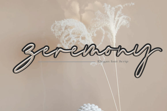 Zeremony Font Review: A Curved Handwritten Typeface